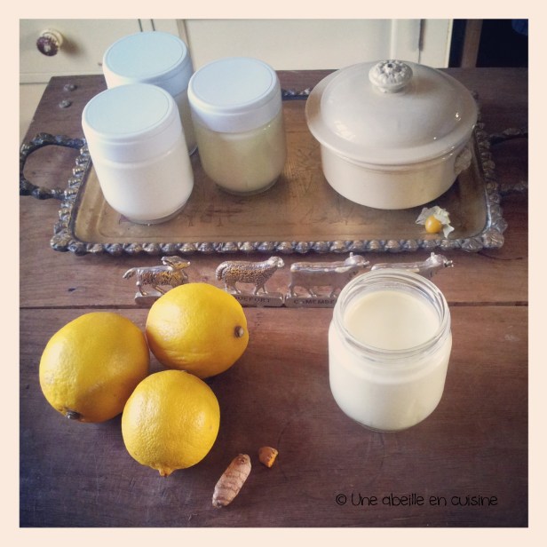 yaourt citron curcuma 2