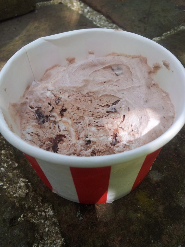 crème glacée chocolat (2)