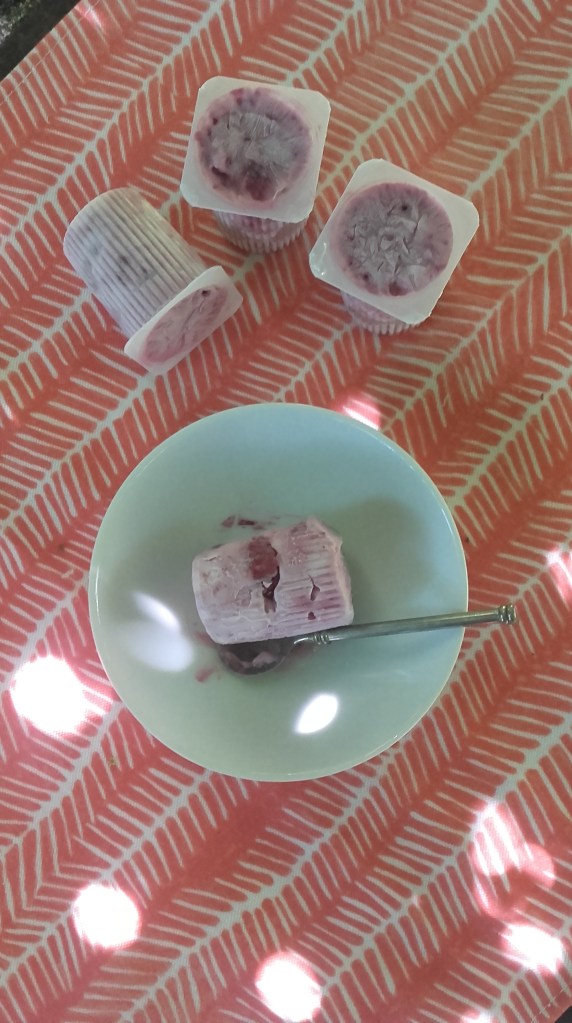 petits suisses glacés (3)