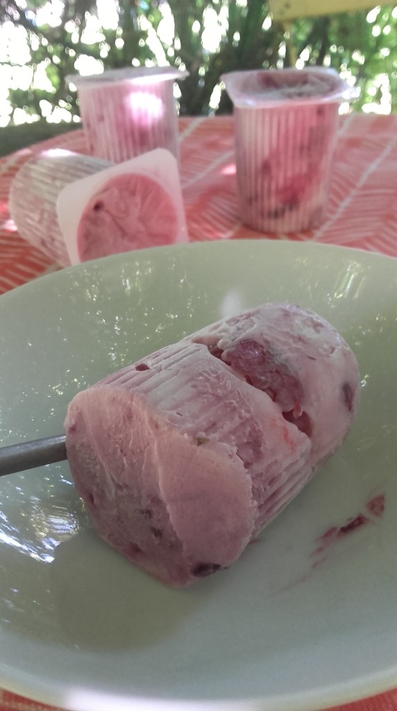 petits suisses glacés