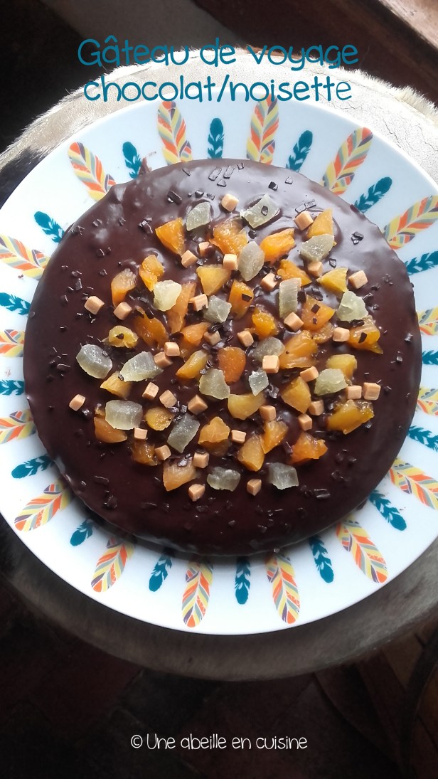 gateau-de-voyage-2-copie