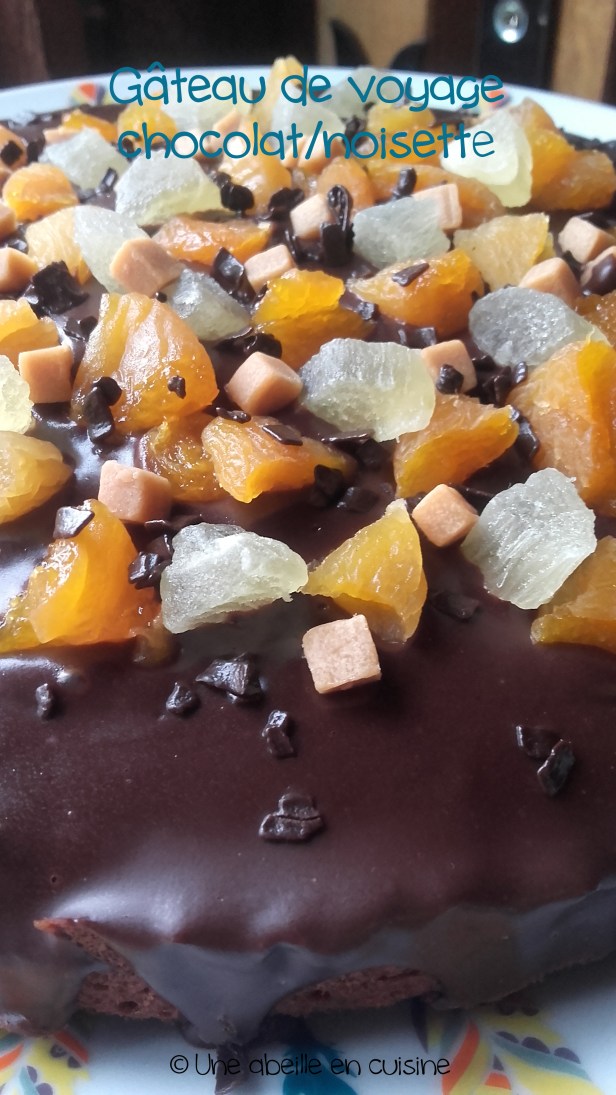 gateau-de-voyage-copie