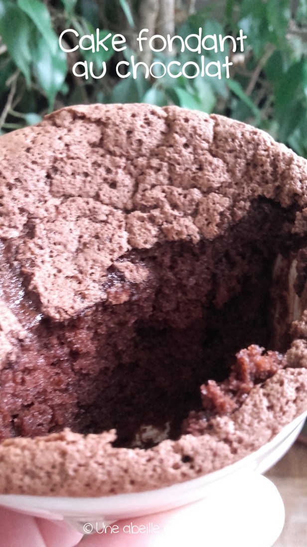 cake fondant chocolat copie