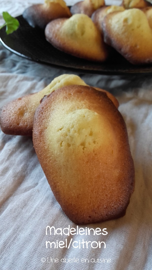 madeleines au miel (2) copie