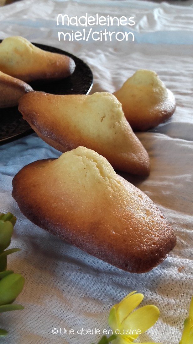 madeleines au miel (3) copie
