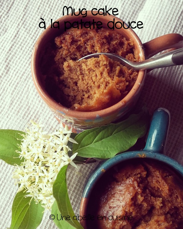 mugcake à la patate douce copie