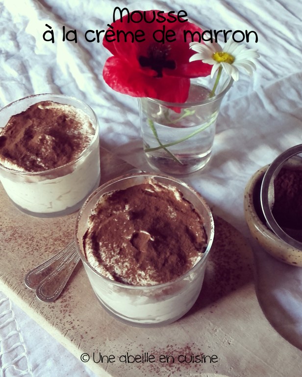 mousse à la crème de marron copie
