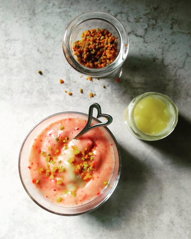 Nice cream sorbet de la