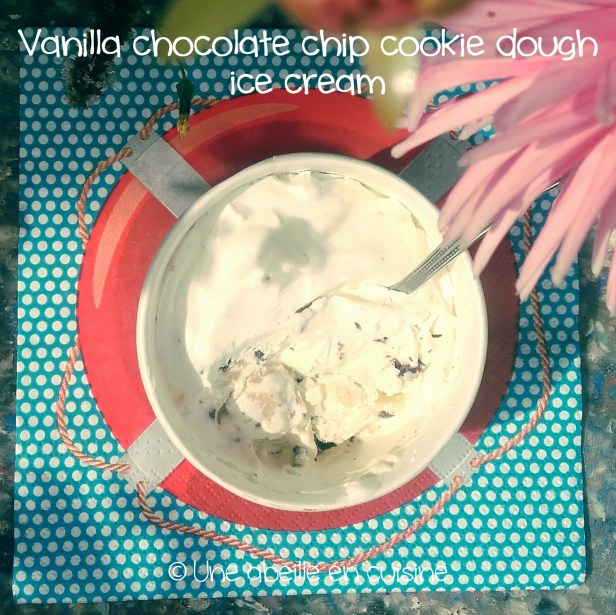 vanilla chocolate chip cookie dough ice cream