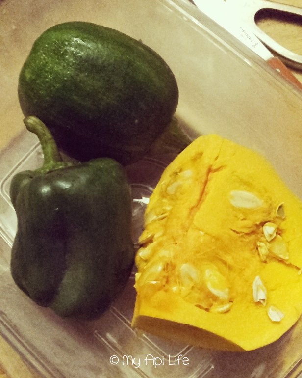 boite sous vide airblock