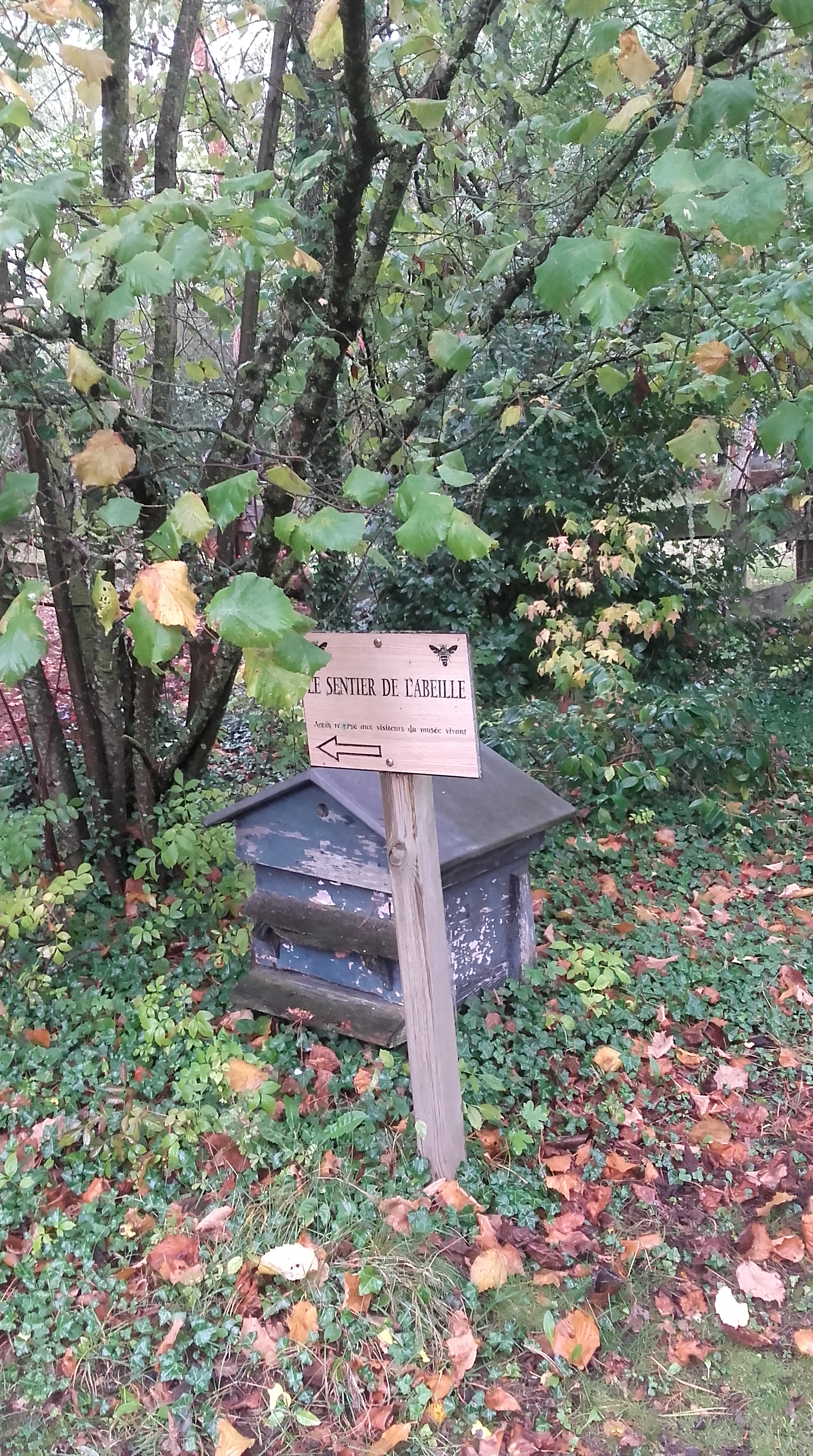 Musée vivant de l'apiculture: sentier de l'abeille