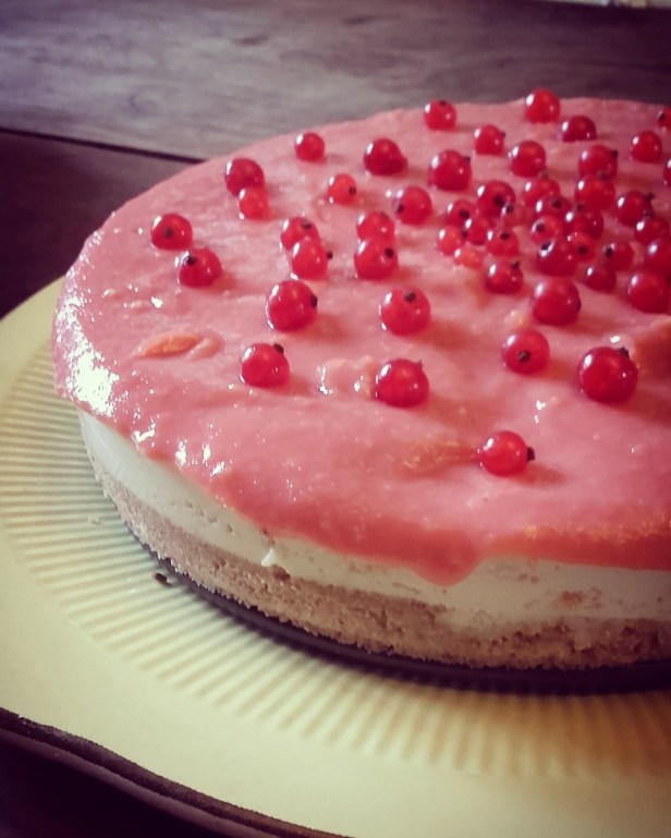 cheesecake sans cuisson et curd de groseilles
