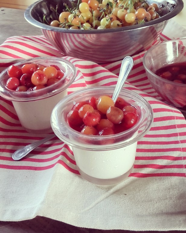 panna cotta au yaourt de brebis et cerises à l'hibiscus