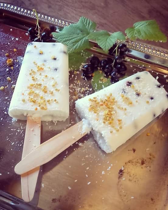 pop sicles noix de coco cassis