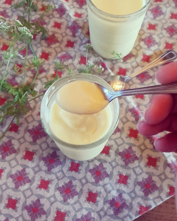 crème aux oeufs sans cuisson