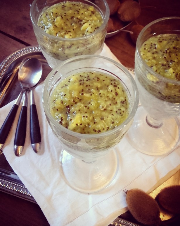 blanc-manger et coulis de kiwi