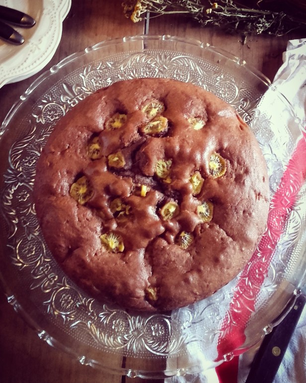 Gâteau moelleux chocolat kiwi