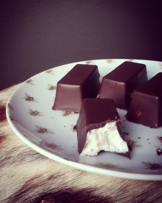 Bounty maison paléo