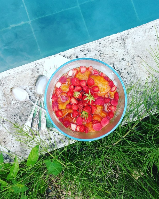 compotée d'abricots au romarin sur panna cotta à la crème de noix de coco