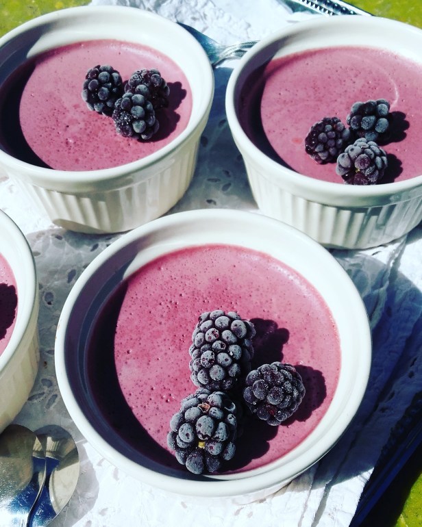 entremet végétal à la mûre express