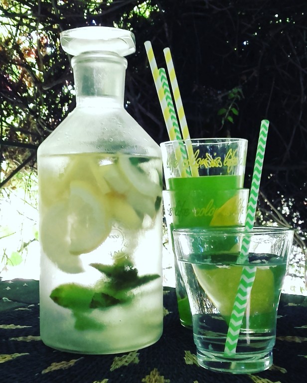 Eau rafraîchissante citron menthe